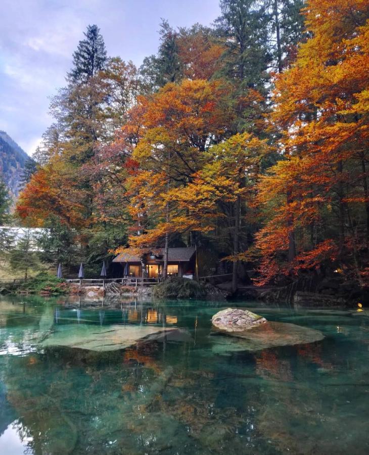 Mountain Oasis Apartment Kandersteg-Adelboden Kandergrund Ngoại thất bức ảnh