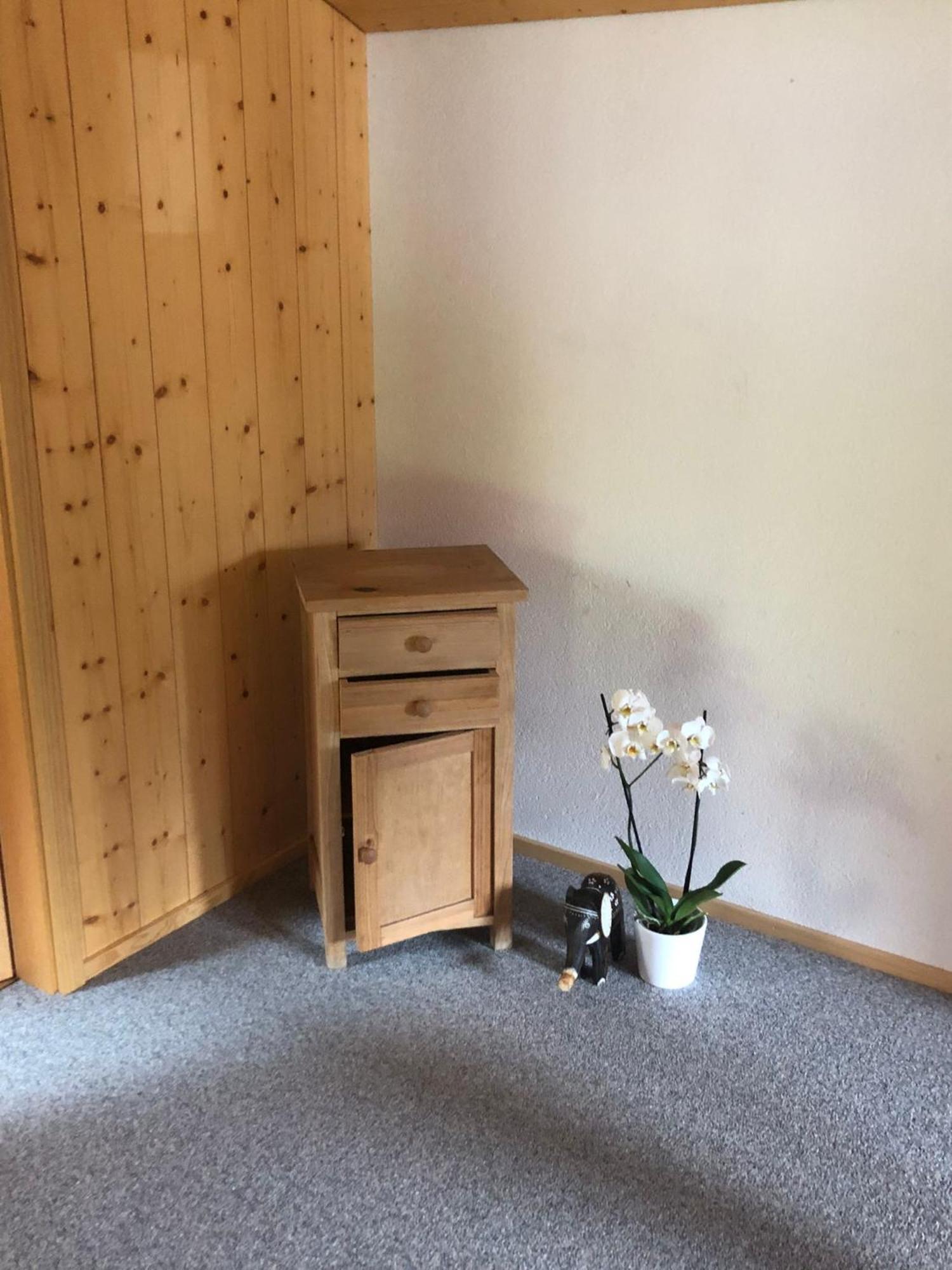 Mountain Oasis Apartment Kandersteg-Adelboden Kandergrund Ngoại thất bức ảnh